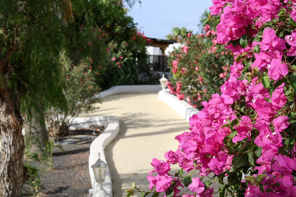 Casa Las Rosas By Buenavilla Puerto del Carmen  Eksteriør bilde